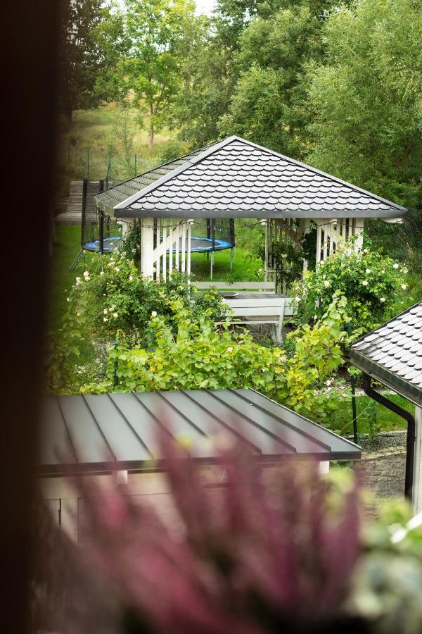 Apartamenty U Harrego I Przy Stawie Spa Z Klimatyzacja, Balia, Sauna, Ogrodem I Parkingiem Kudowa-Zdrój Exterior foto